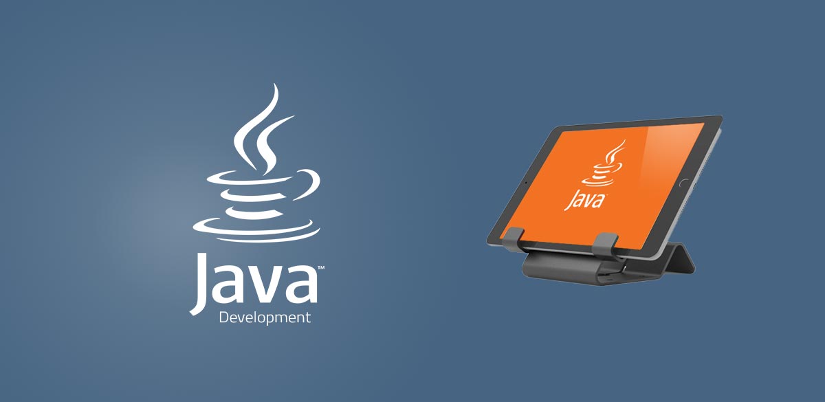 Programmatore JAVA EE